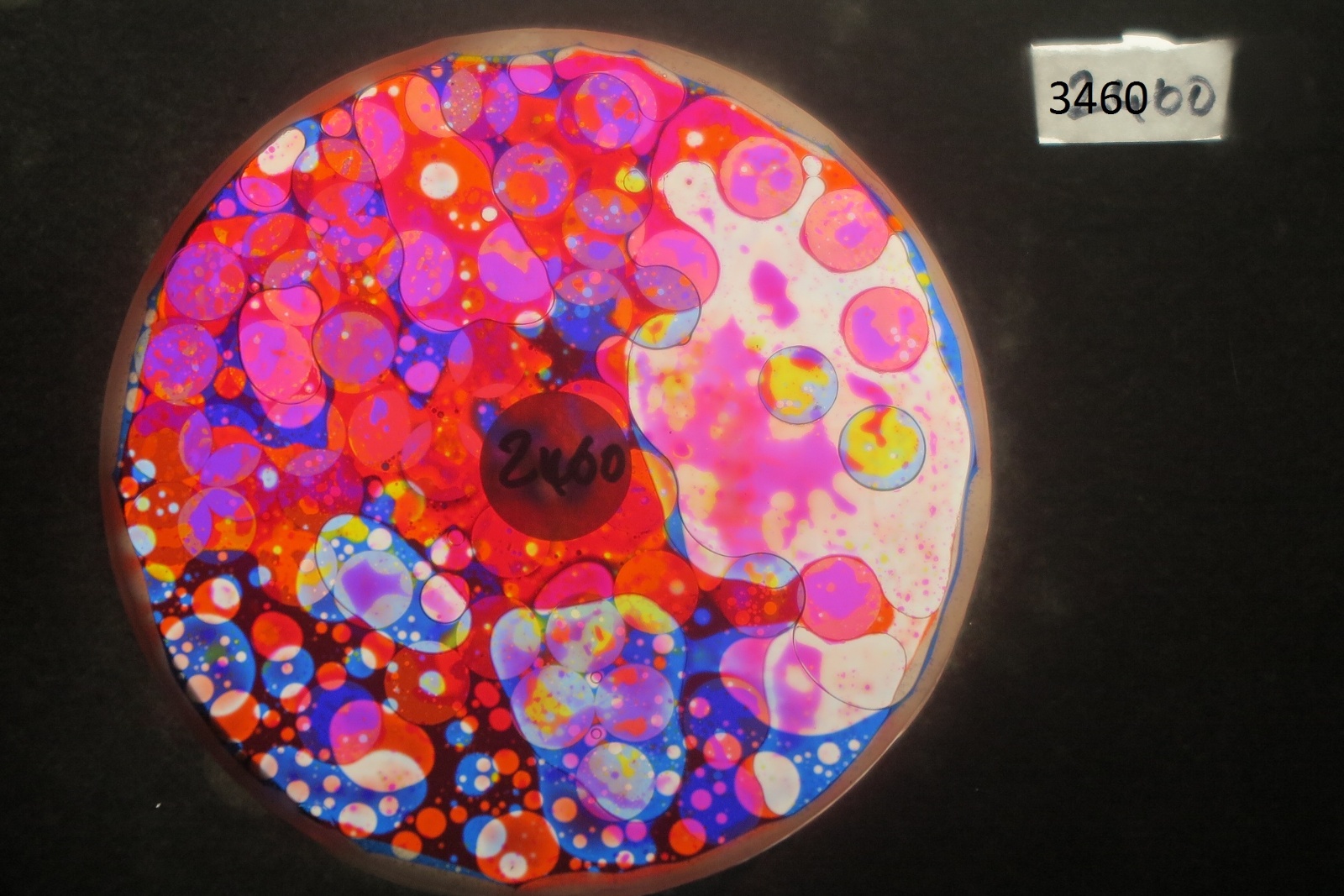 BV3460 bubble vision oil wheel